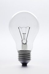 One lightbulb on white background