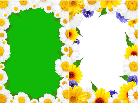 Frame of  colorful  summer camomile, conflower and sunflower