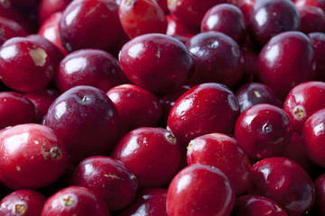 Close up red cranberries full frame