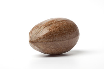 One whole pecan nut