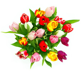 composition de tulipes