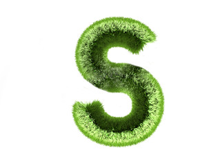 Naklejka premium Rasen S