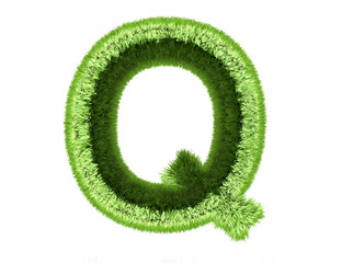 Rasen Q
