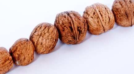 line of walnuts