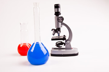 Under the microscope