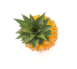 Closeup shot of an isolated pineapple