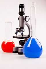 Under the microscope