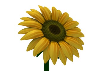 An isolated 3D sunflower