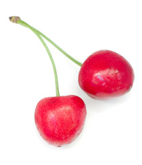 Sweet cherry