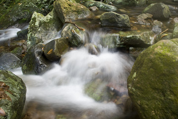 Naklejka na ściany i meble A water spring in forest