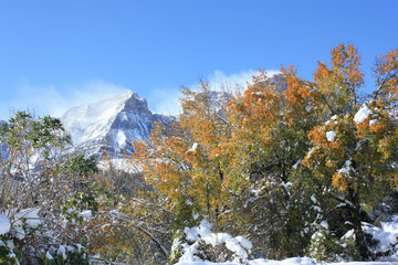 Pe&ntilde;a Telera Oto&ntilde;o