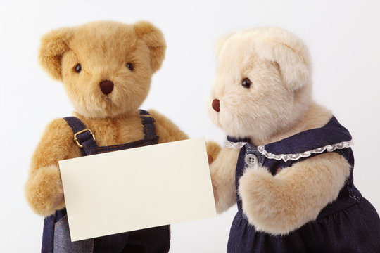 couples of teddy bear and blank card