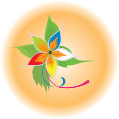 flower on a background of orange-colored circle