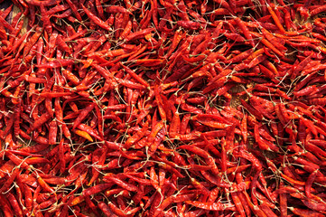 Fototapeta premium Spice, hot red pepper