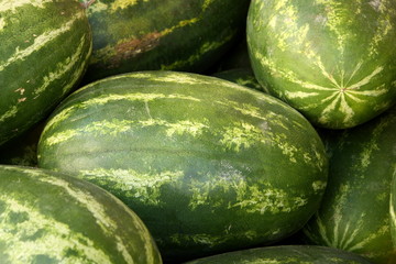 Water Melons