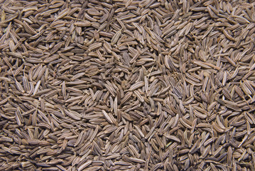Cumin background