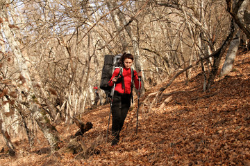 Naklejka premium Hikers in mountains