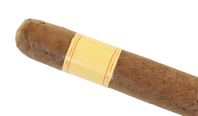 Cigar isolated on white background