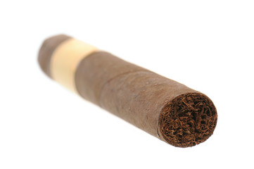 Cigar isolated on white background