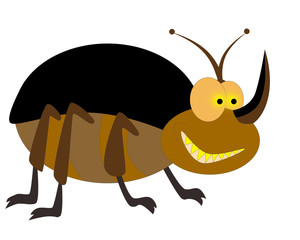 beetle