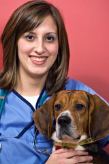 Veterinarian with a Beagle