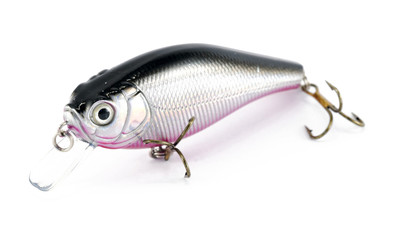 fishing bait