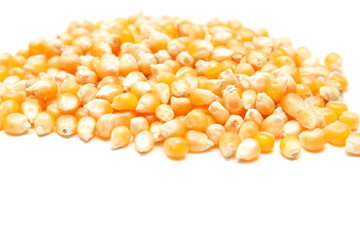 grains de maïs