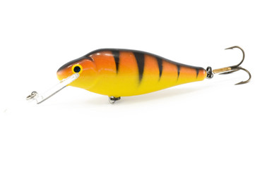 fishing bait