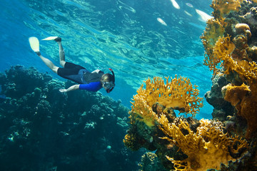 Woman snorkeling near coral reef