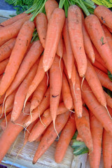 karotten, verkauf, bauernmarkt