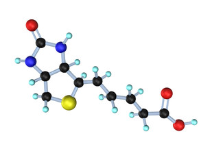 Molecule Vitamin B7 (Biotin)