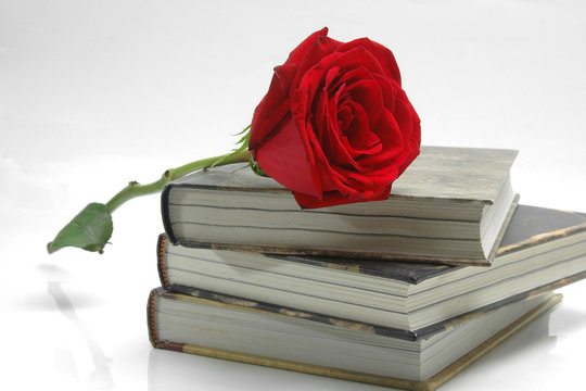 Fototapeta Books and rose