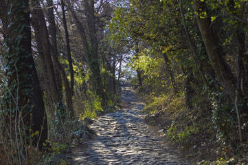 Obraz premium Himmelsweg