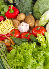 Fresh Vegetables