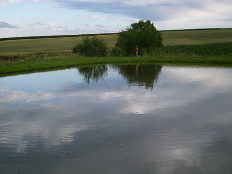 Am Karpfenteich