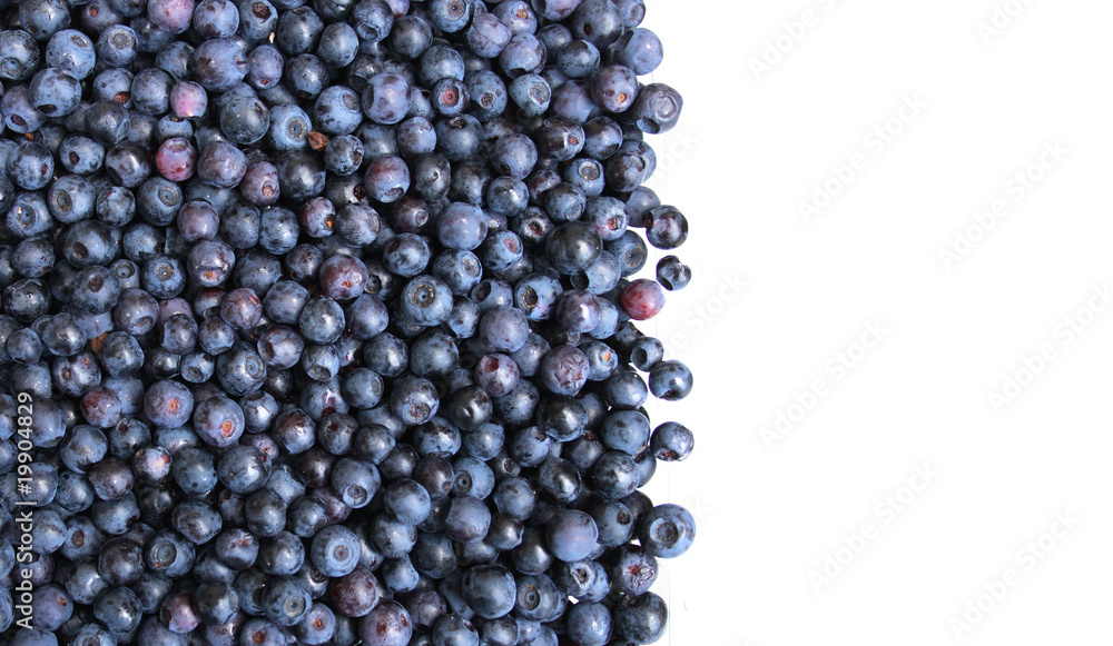 Wall mural blueberries