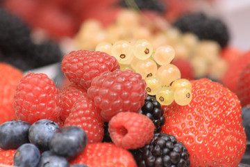 forest fruit