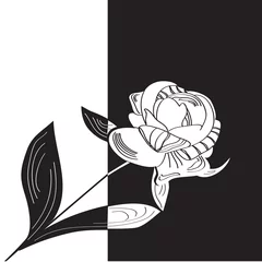 Papier Peint photo Lavable Fleurs noir et blanc Fleur de pivoine