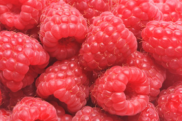 raspberry