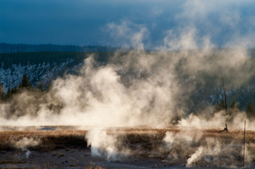 Plumes of steam rising above hot springs