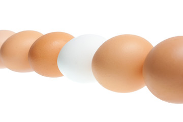 Group of brown and one white eggs isolated on white background