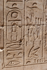 Fototapeta na wymiar hieroglif im Karnak