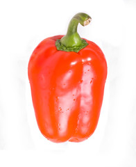 red bell pepper on a white background