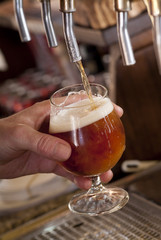Bicchiere di birra alla spina