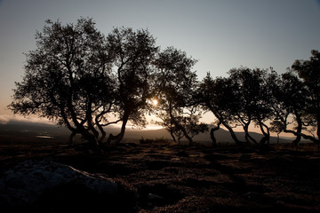 Fototapeta premium Sunrise in the wilderness of Norway