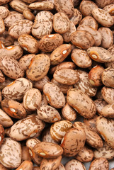 organic pinto beans are good for stew or soup