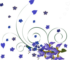 floral background with iris