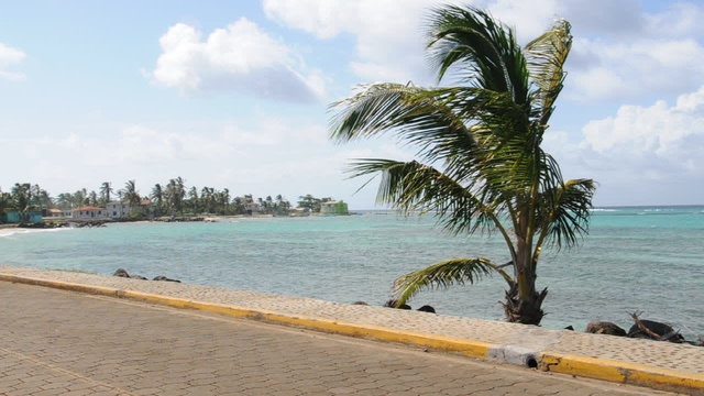 seaside scene with palm trees breeze  corn island nicaragua