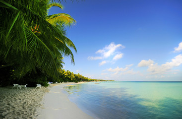 beach scene at Maldives