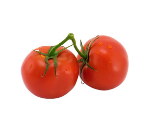 Tomatoes on a branch on a white background close-up